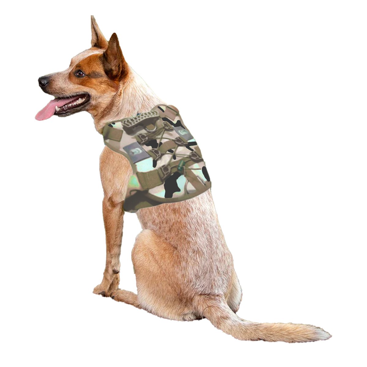 PACK6 CHALECO PARA PASEO DE PERRO VERDE CLARO TALLA L AJUSTABLE Y COMODO Y+REGALO STICKER - 2