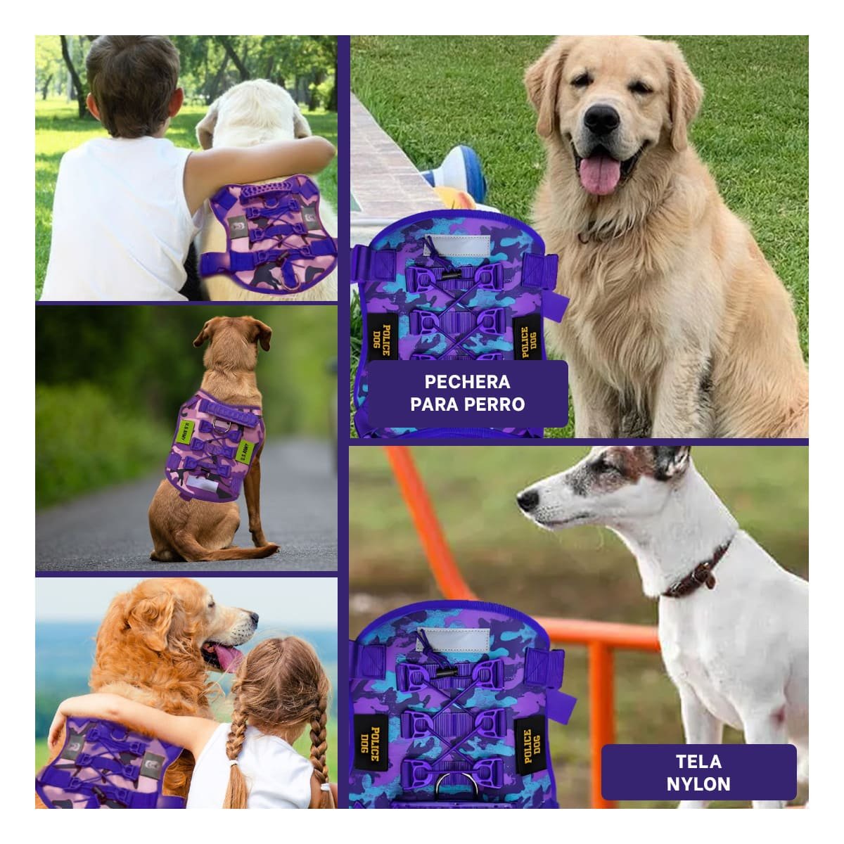 PACK4 FUNCIONAL PECHERA TACTICO PARA PERRO MORADO CON MATERIAL RESISTENTE Y+REGALO STICKER - 2
