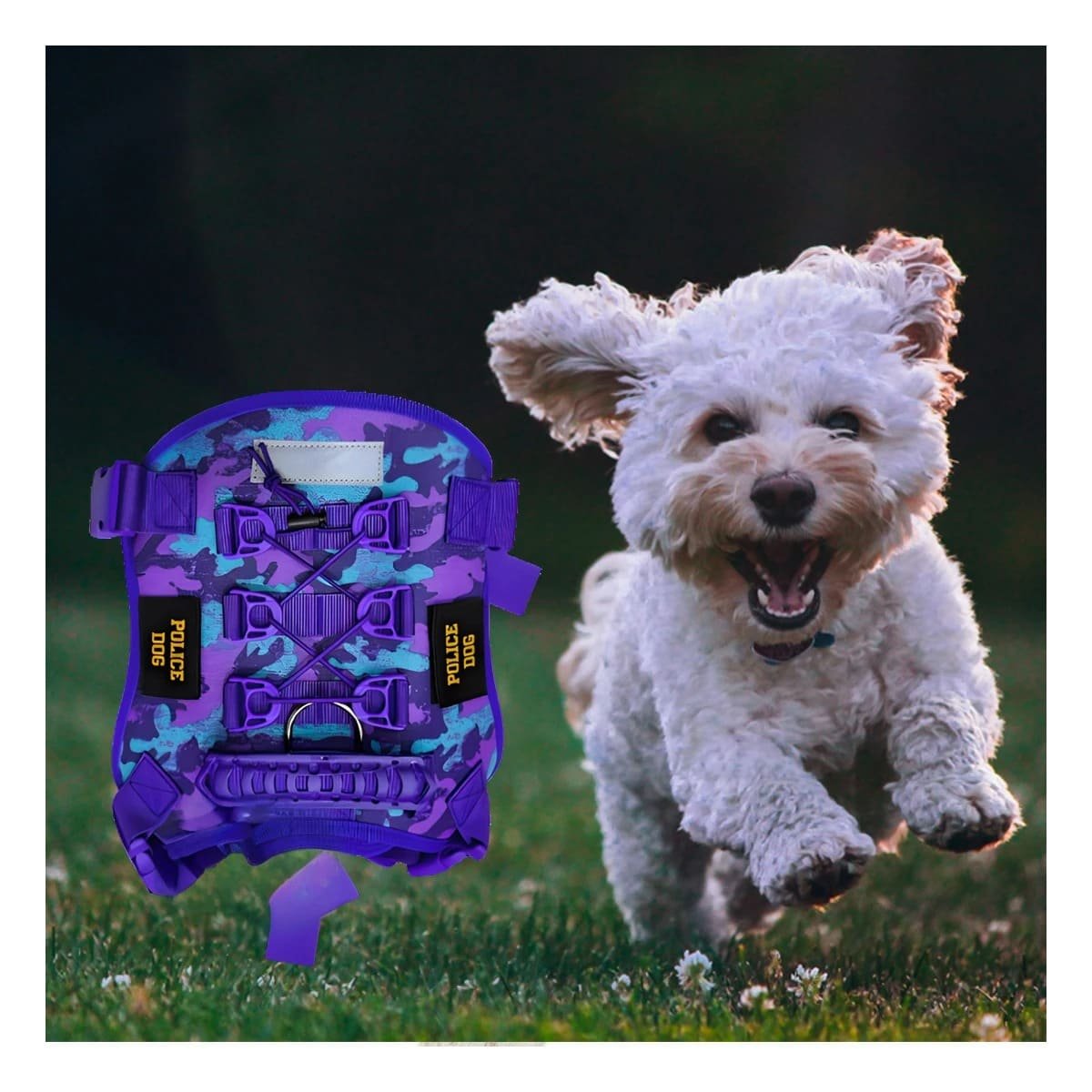 PACK4 FUNCIONAL PECHERA TACTICO PARA PERRO MORADO CON MATERIAL RESISTENTE Y+REGALO STICKER - 5