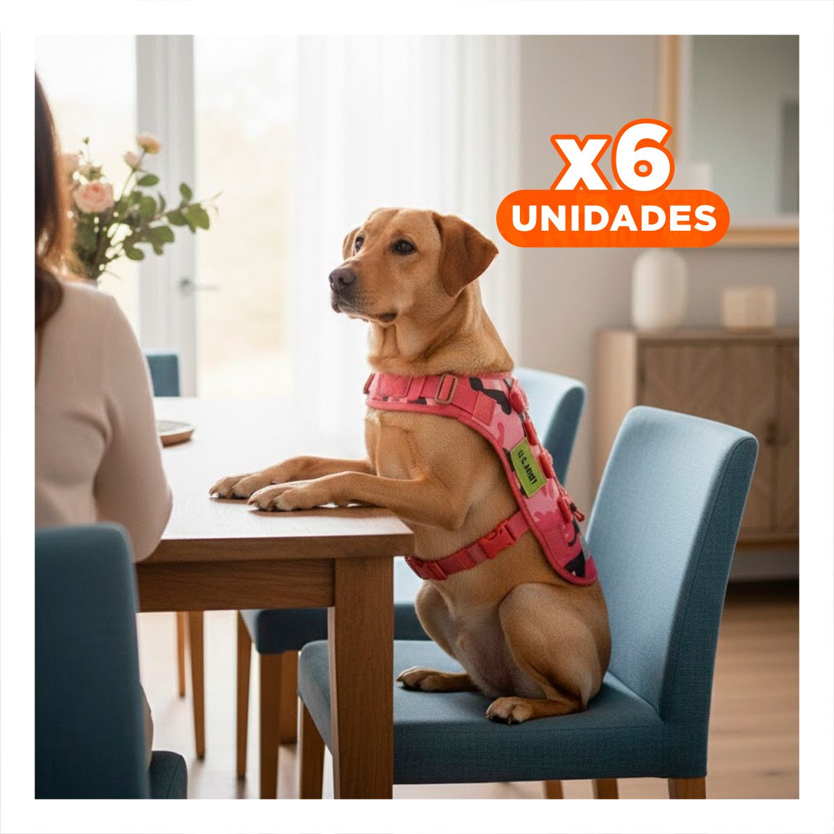 PACK6 PROTECCION CHALECO TACTICO PARA PERRO ROJO DURABLE Y COMODO PARA SALIDAS Y+REGALO STICKER - 1