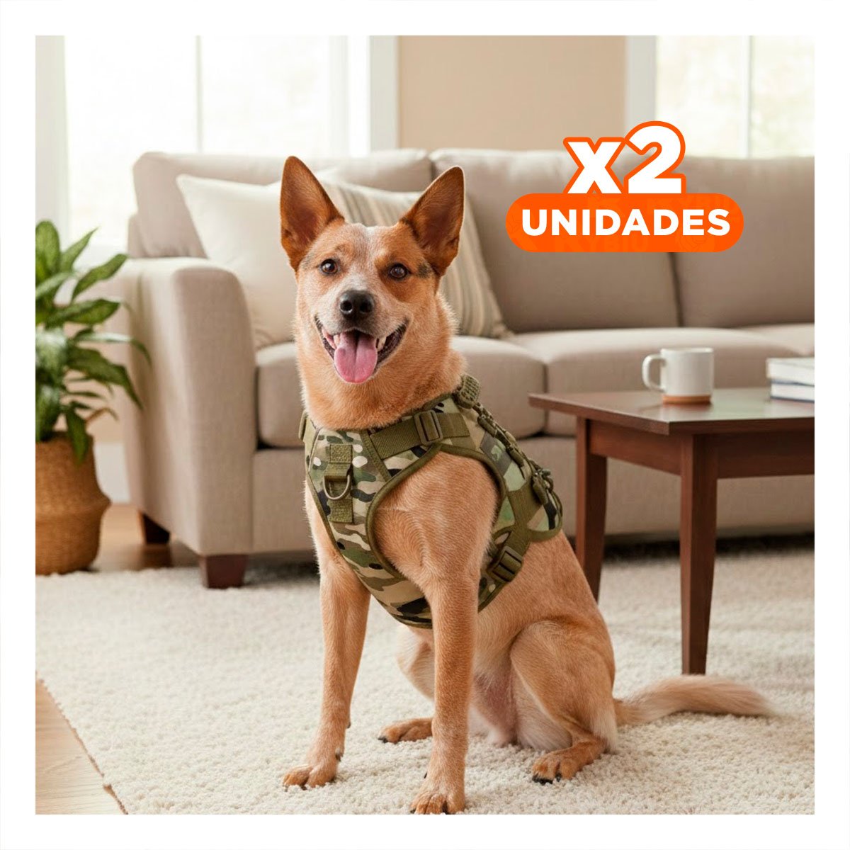 PACK2 ARNES DE SEGURIDAD PARA PERRO VERDE CLARO TALLA L CHALECO DURADERO Y+REGALO STICKER - 1