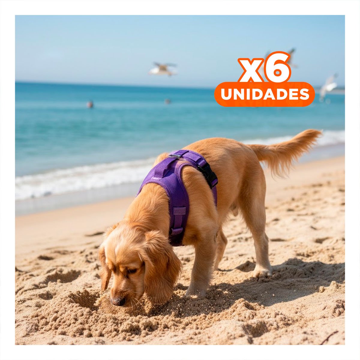 PACK6 COMODO Y RESISTENTE PECHERA TACTICO PARA PERRO MORADO FACIL DE USAR Y+REGALO STICKER - 1