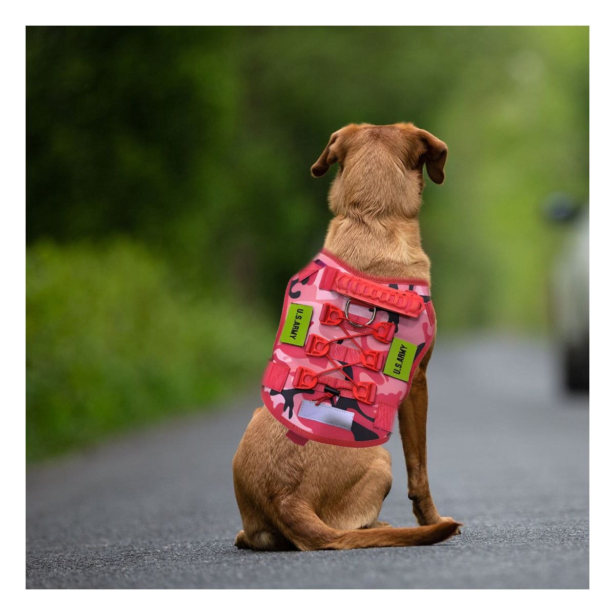 PACK2 EQUIPO CHALECO TACTICO PARA PERRO ROJO CON MATERIAL RESISTENTE Y+REGALO STICKER - 3