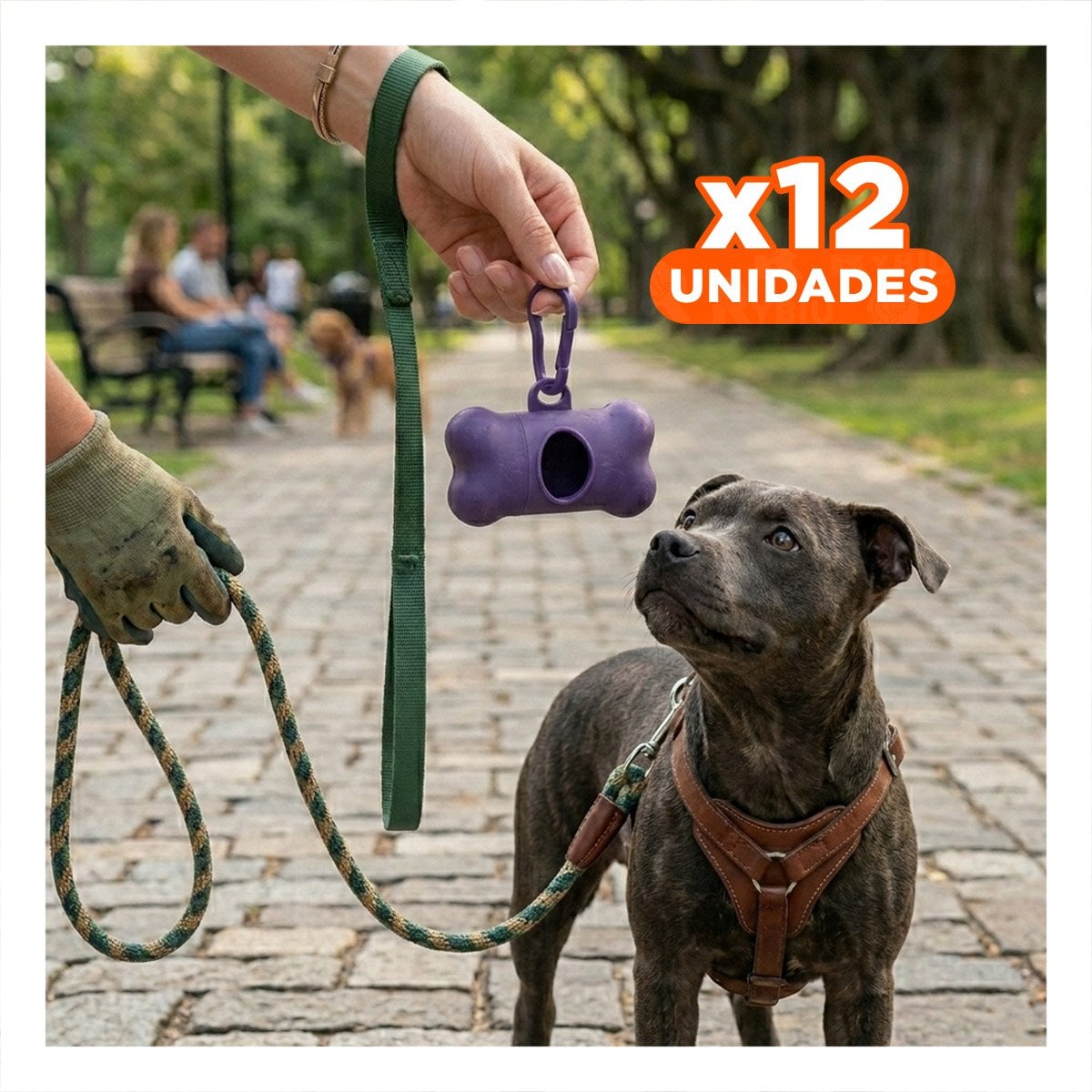 PACK12 CONTENEDOR MORADO TIPO HUESO PARA TRANSPORTE DE BOLSAS ORDENADO - 1