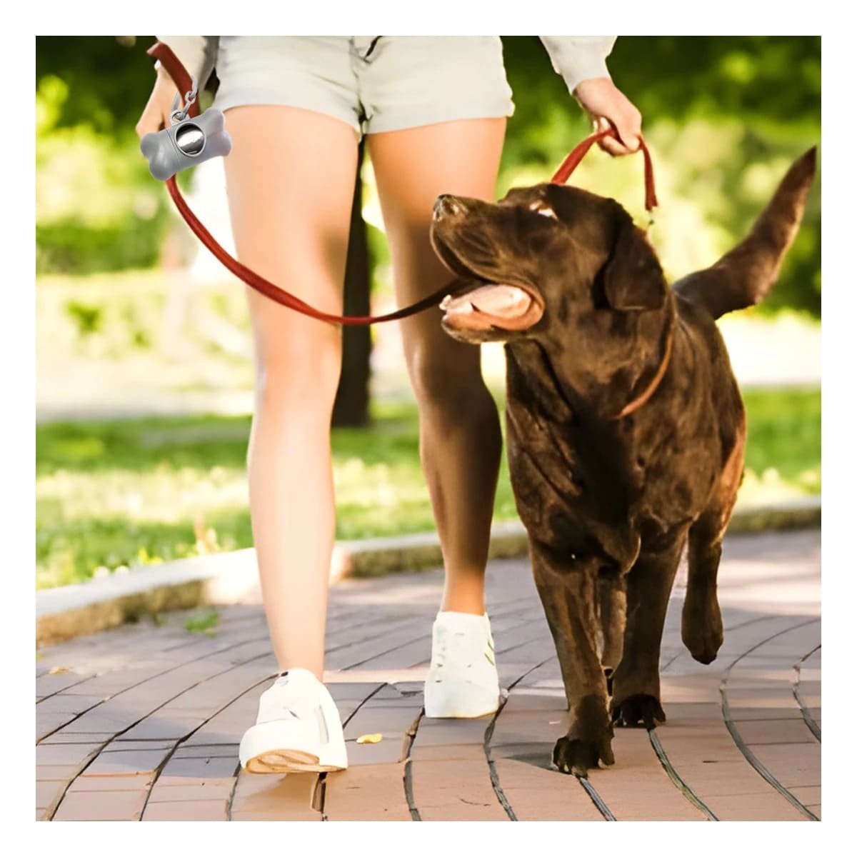 PACK6 DISPENSADOR DE BOLSAS GRIS FUNCIONAL PARA SALIDAS CON MASCOTAS - 3