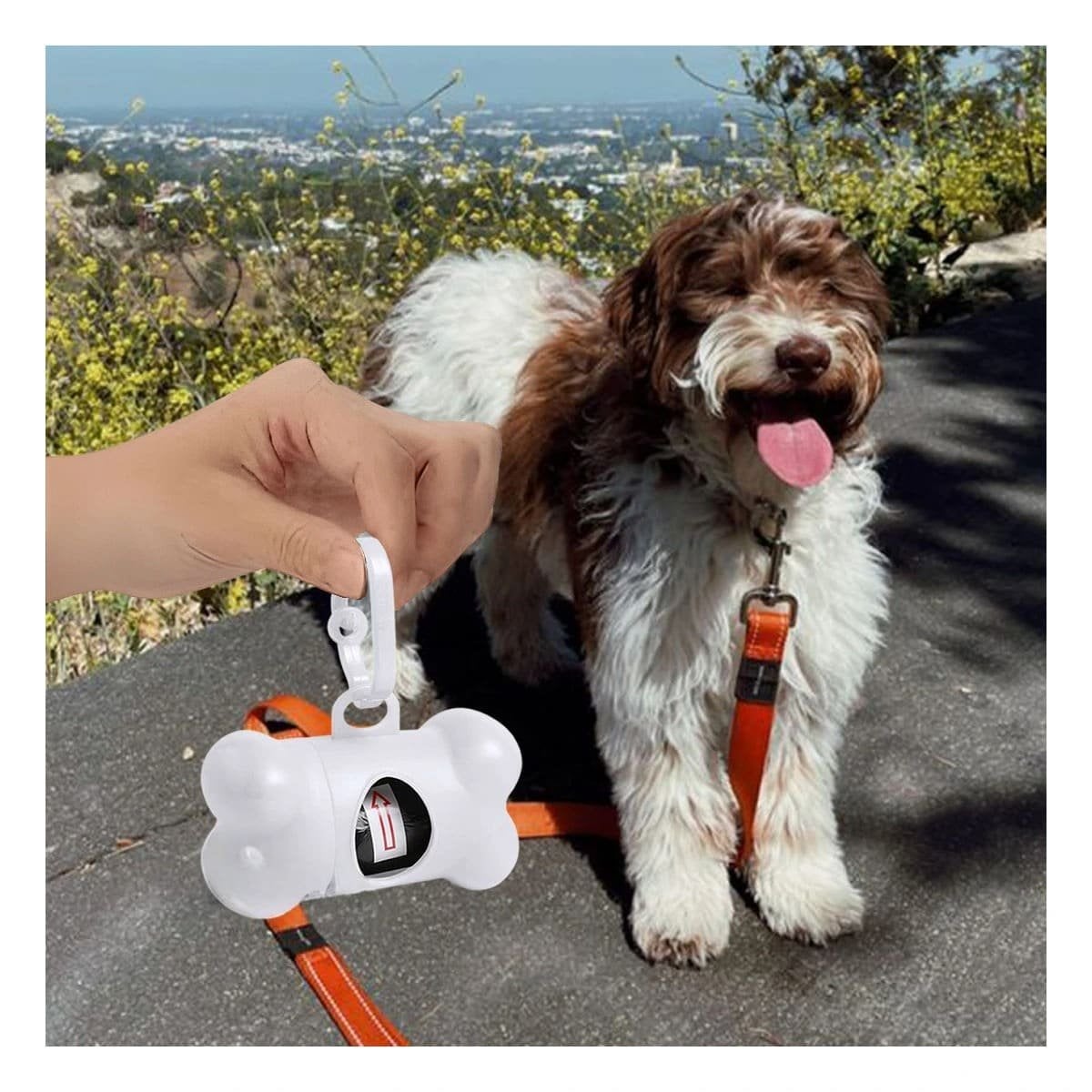 PACK12 DISPENSADOR BLANCO CON CLIP INTEGRADO PARA PASEOS AL AIRE LIBRE Y+PAPEL REGALO - 3