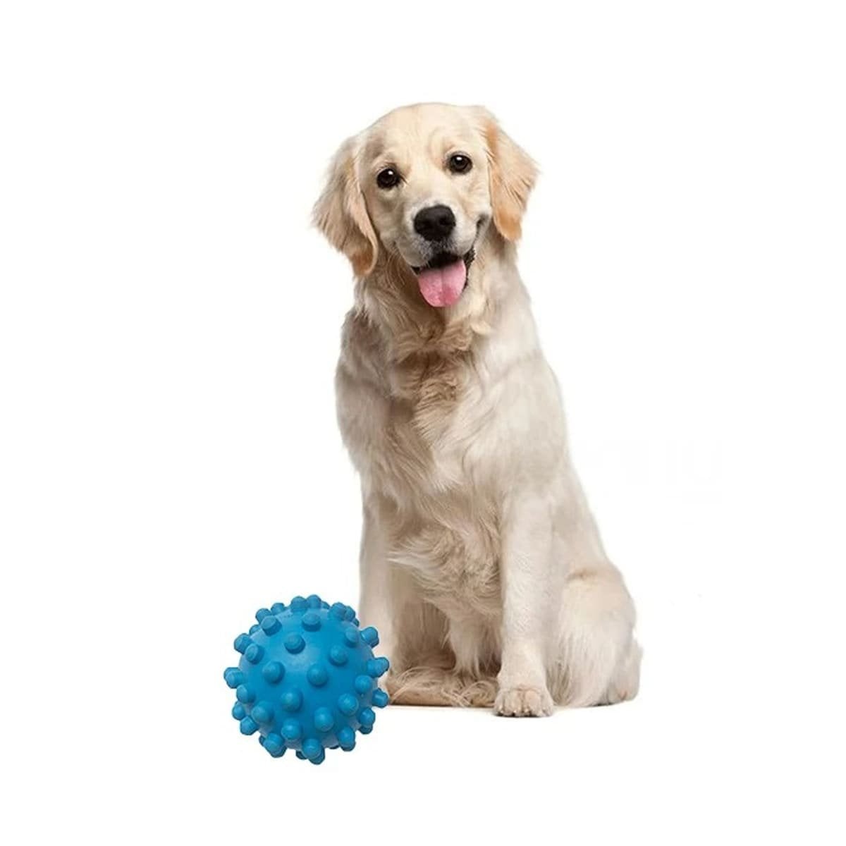 PACK6 JUGUETE CANINO CELESTE COMPACTO TIPO CHIRIMOLLA ATRACTIVO Y+REGALO STICKER - 2
