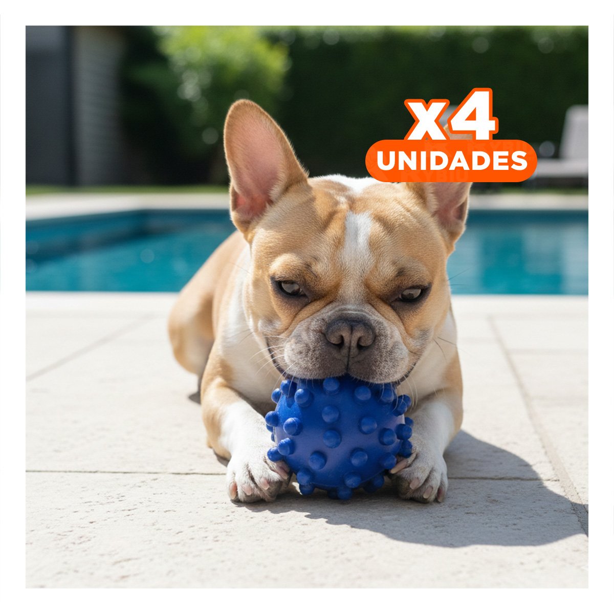 PACK4 ACCESORIO PARA MASCOTA AZUL DE CAUCHO TIPO CHIRIMOLLA LIVIANO - 1