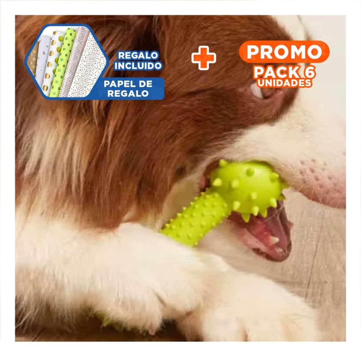 PACK6 HUESO DE GOMA VERDE AMARILLENTO CON DISENO COMPACTO Y+PAPEL REGALO - 1