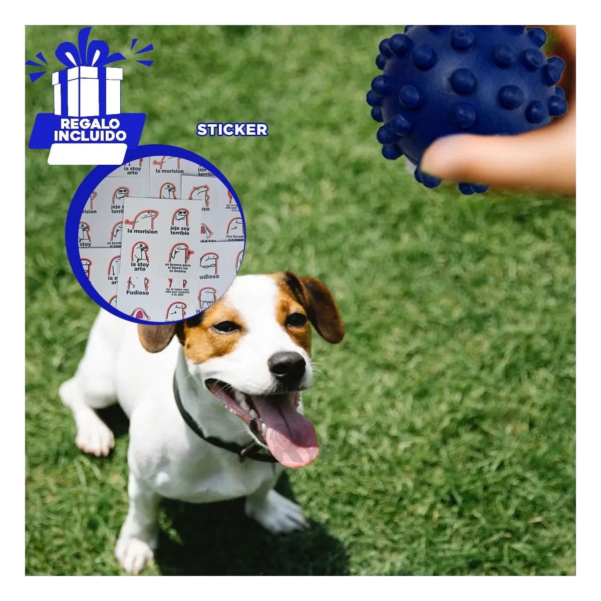 ACCESORIO CANINO AZUL DE CAUCHO CON FORMA DE CHIRIMOLLA COMPACTA Y+REGALO STICKER - 1