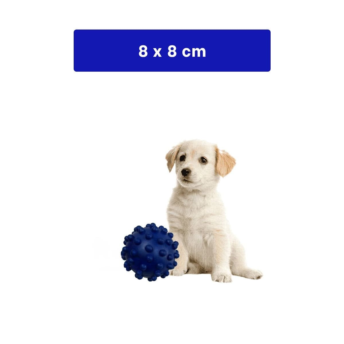 ACCESORIO CANINO AZUL DE CAUCHO CON FORMA DE CHIRIMOLLA COMPACTA Y+REGALO STICKER - 4