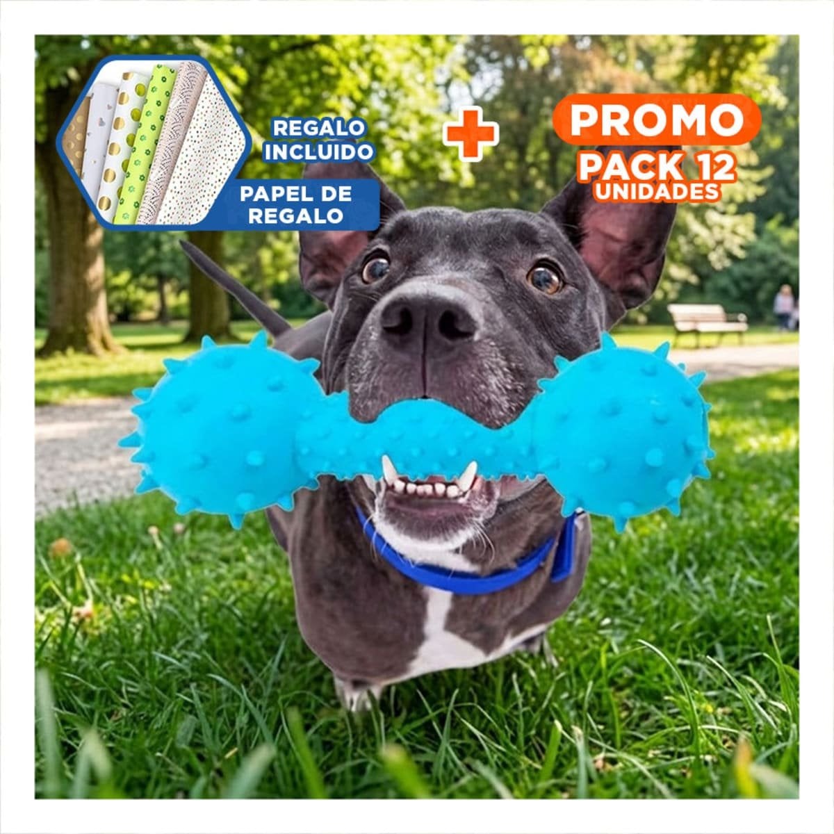 PACK12 JUGUETE CANINO CELESTE EN FORMA DE HUESO PARA DIVERSION PROLONGADA Y+PAPEL REGALO - 1