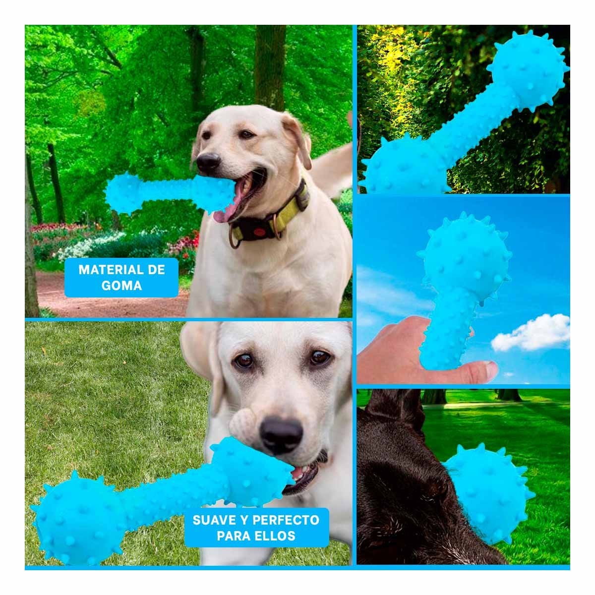 PACK12 JUGUETE CANINO CELESTE EN FORMA DE HUESO PARA DIVERSION PROLONGADA Y+PAPEL REGALO - 2
