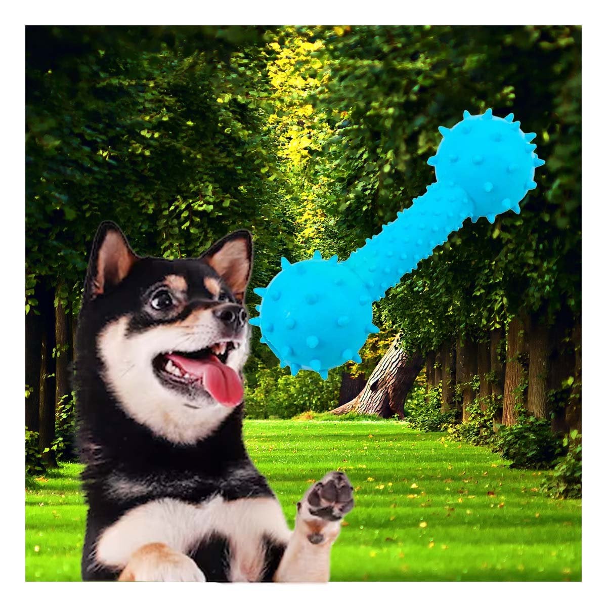 PACK12 JUGUETE CANINO CELESTE EN FORMA DE HUESO PARA DIVERSION PROLONGADA Y+PAPEL REGALO - 3