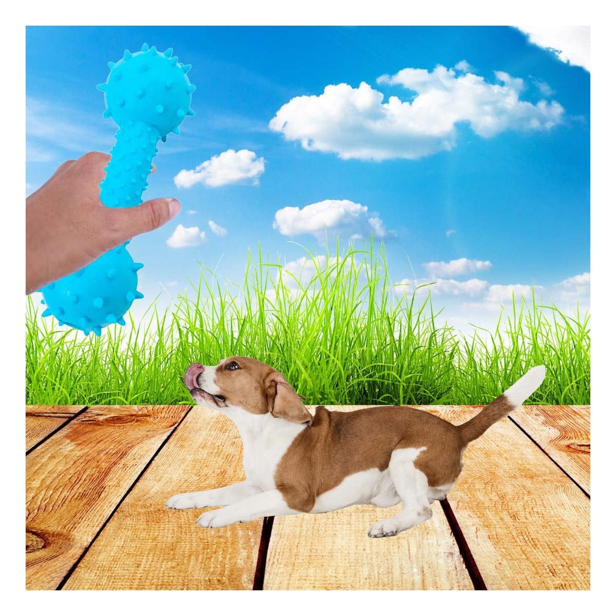 PACK12 JUGUETE CANINO CELESTE EN FORMA DE HUESO PARA DIVERSION PROLONGADA Y+PAPEL REGALO - 5