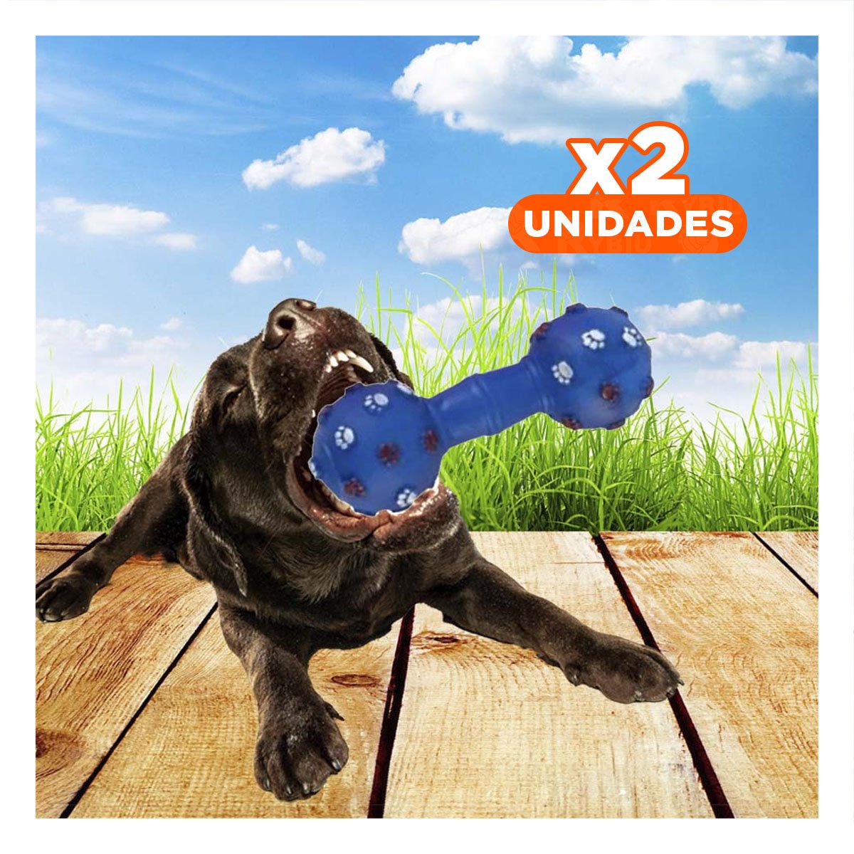 PACK2 HUESO PARA MASCOTA COLOR AZUL CON DETALLES DECORATIVOS DE HUELLAS Y+REGALO STICKER - 1