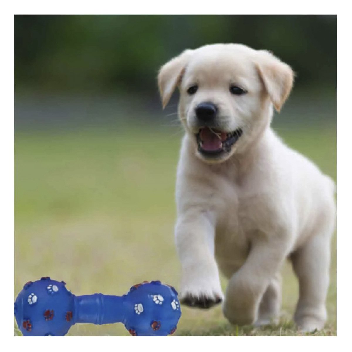 PACK2 HUESO PARA MASCOTA COLOR AZUL CON DETALLES DECORATIVOS DE HUELLAS Y+REGALO STICKER - 3