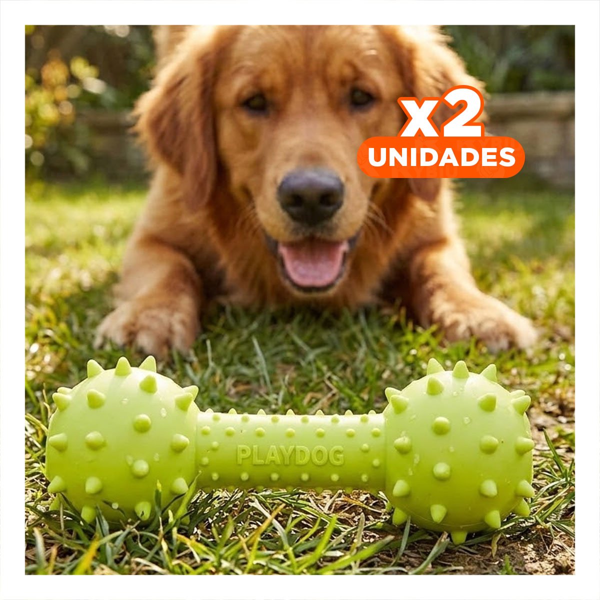 PACK2 JUGUETE HUESO VERDE AMARILLENTO CON BOLAS QUE FACILITAN EL JUEGO Y+REGALO STICKER - 1