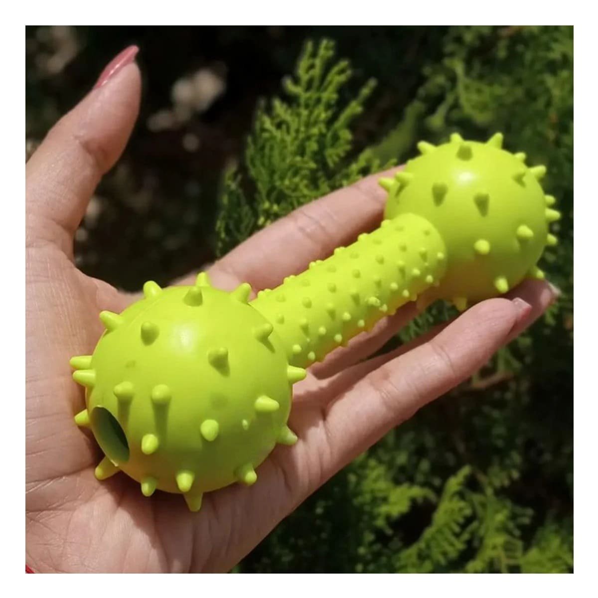 PACK2 HUESO DE JEBE VERDE AMARILLENTO PARA USO EN CASA O PATIO Y+PAPEL REGALO - 5