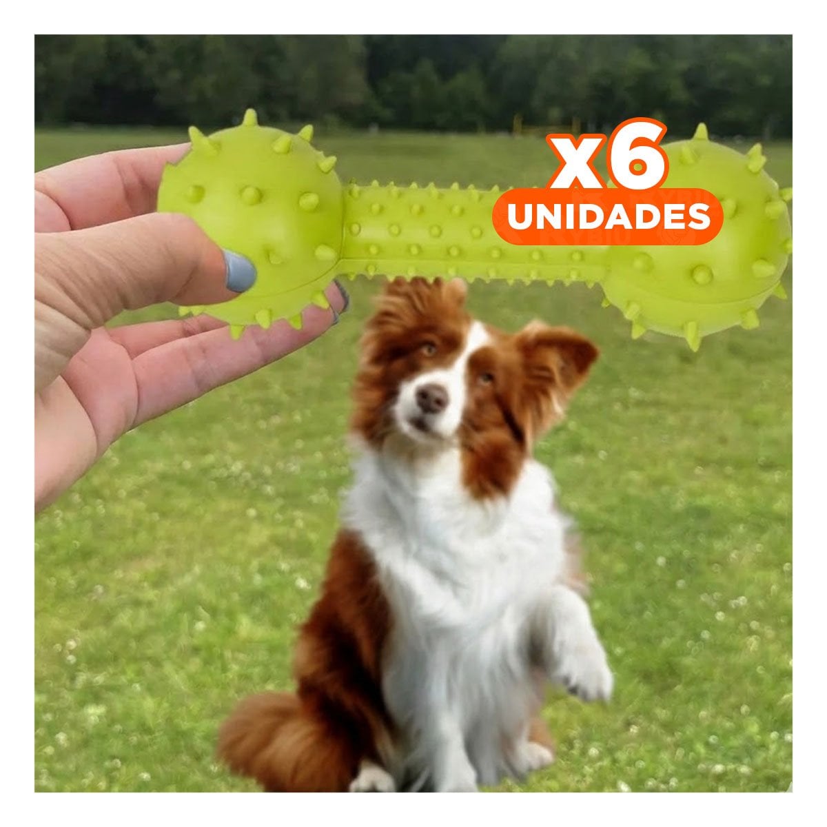 PACK6 JUGUETE HUESO VERDE AMARILLENTO CON EXTREMOS EN RELIEVE Y+REGALO STICKER - 1