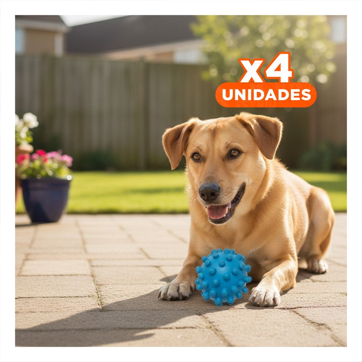 PACK4 ACCESORIO PARA MASCOTA CELESTE DE CAUCHO TIPO CHIRIMOLLA LIVIANO - 1