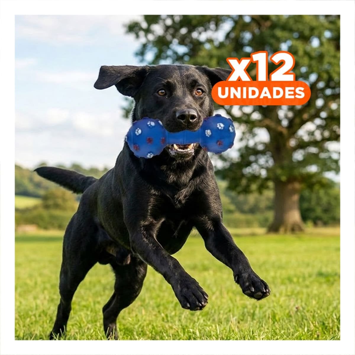 PACK12 HUESO PARA PERRO AZUL CON FORMA TRADICIONAL PARA ENTRETENIMIENTO - 1
