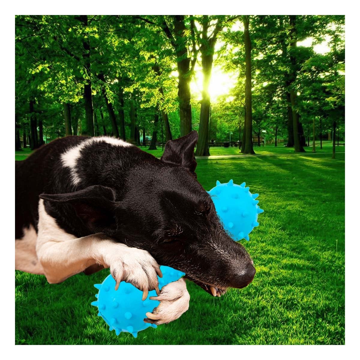 PACK4 HUESO DE JEBE CELESTE CON RELIEVE Y BOLAS PARA JUEGO CONTINUO - 3