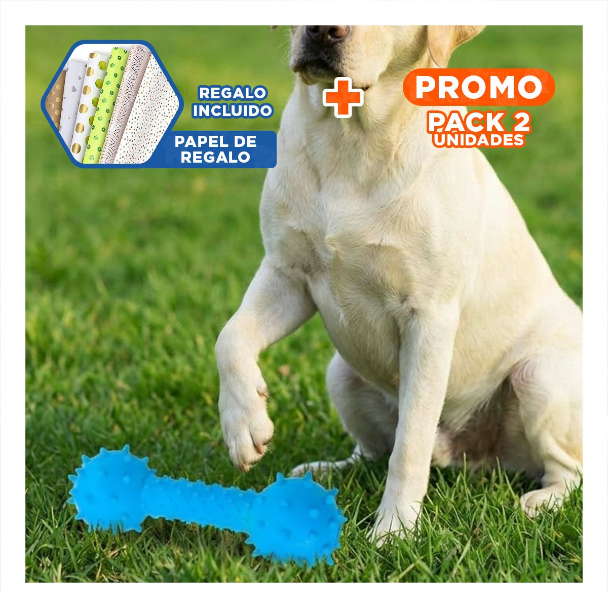 PACK2 HUESO CELESTE DE GOMA CON BOLAS LATERALES PARA ENTRETENIMIENTO EN CASA Y+PAPEL REGALO - 1