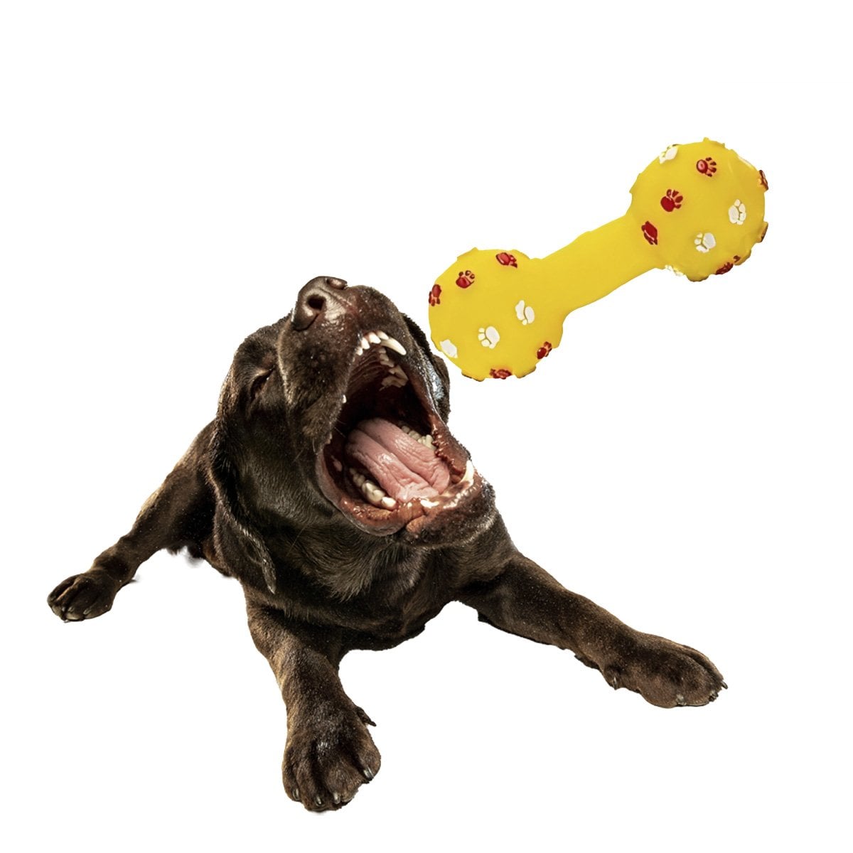 PACK6 JUGUETE CANINO HUESO AMARILLO CON DETALLES DE PATITAS DECORATIVAS Y+REGALO STICKER - 2