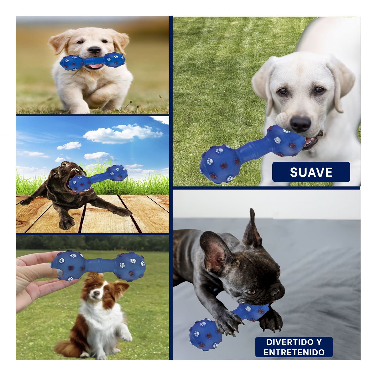 PACK2 JUGUETE HUESO PARA PERRO AZUL CON TEXTURA FACIL DE SUJETAR Y+PAPEL REGALO - 3