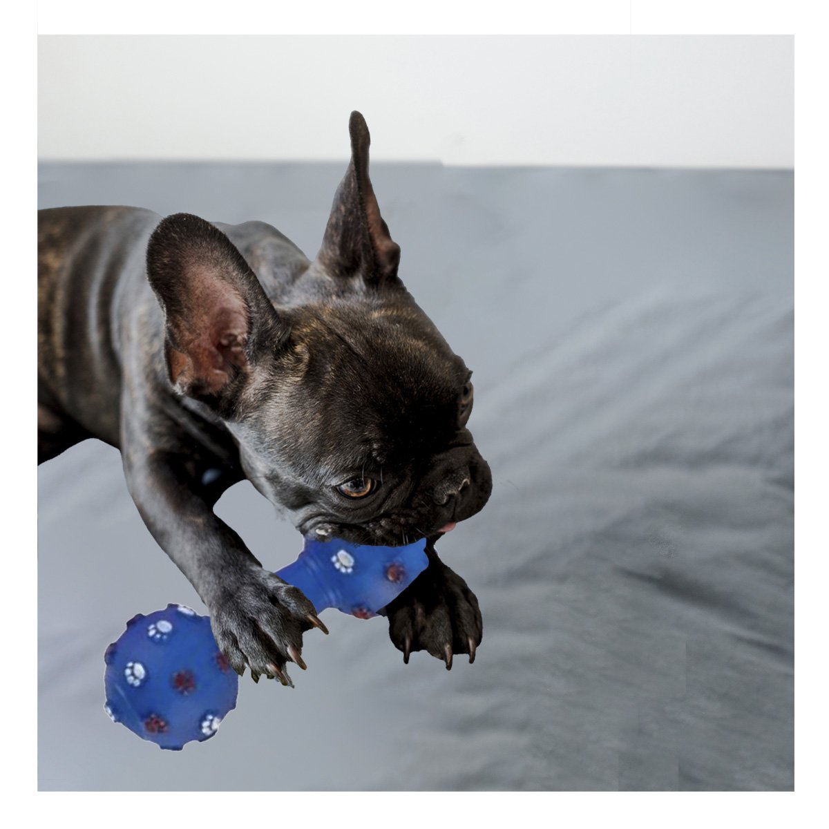 PACK2 JUGUETE HUESO PARA PERRO AZUL CON TEXTURA FACIL DE SUJETAR Y+PAPEL REGALO - 5
