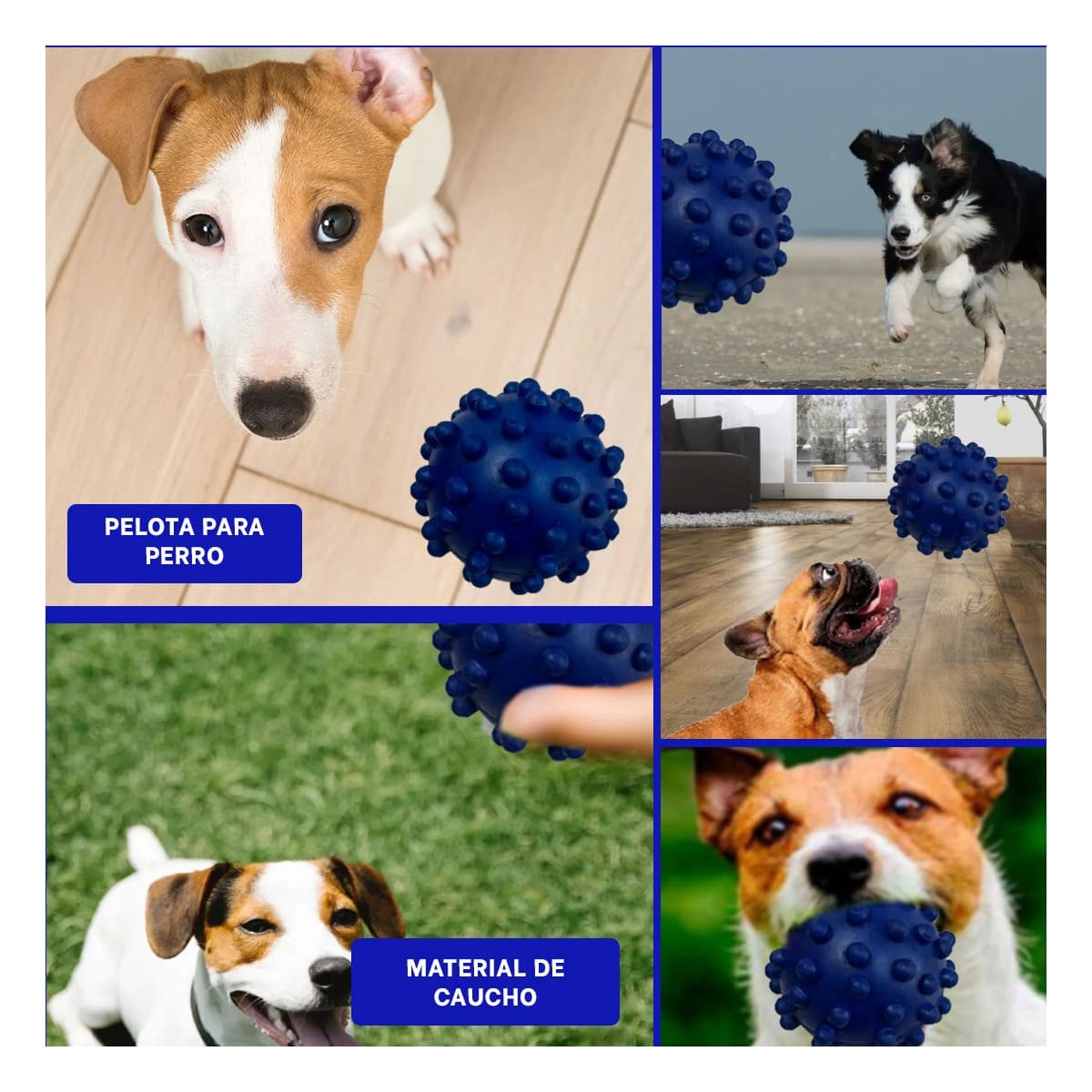 JUGUETE PARA PERRO AZUL FORMA DE CHIRIMOLLA CON DISENO FUNCIONAL Y+POST IT - 5