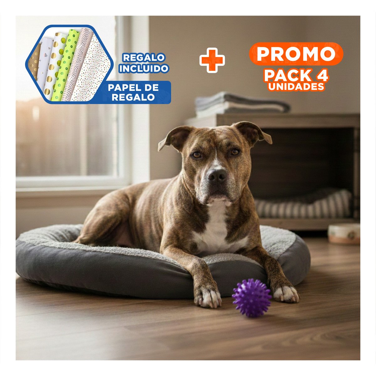 PACK4 JUGUETE PARA PERRO MORADO CON FORMA DE CHIRIMOLLA USO DIARIO Y+PAPEL REGALO - 1