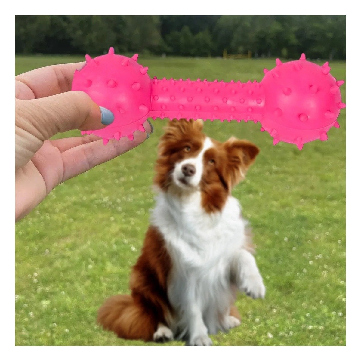 PACK4 HUESO RESISTENTE ROSADO PARA MASCOTAS CON ENERGIA ALTA - 3