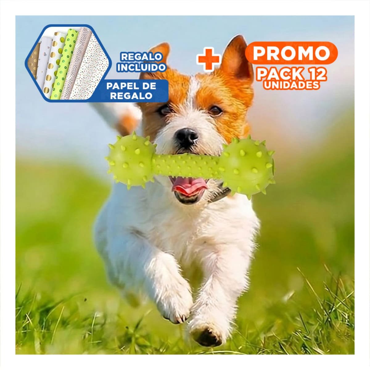 PACK12 JUGUETE CANINO VERDE AMARILLENTO CON FORMA CLASICA Y+PAPEL REGALO - 1