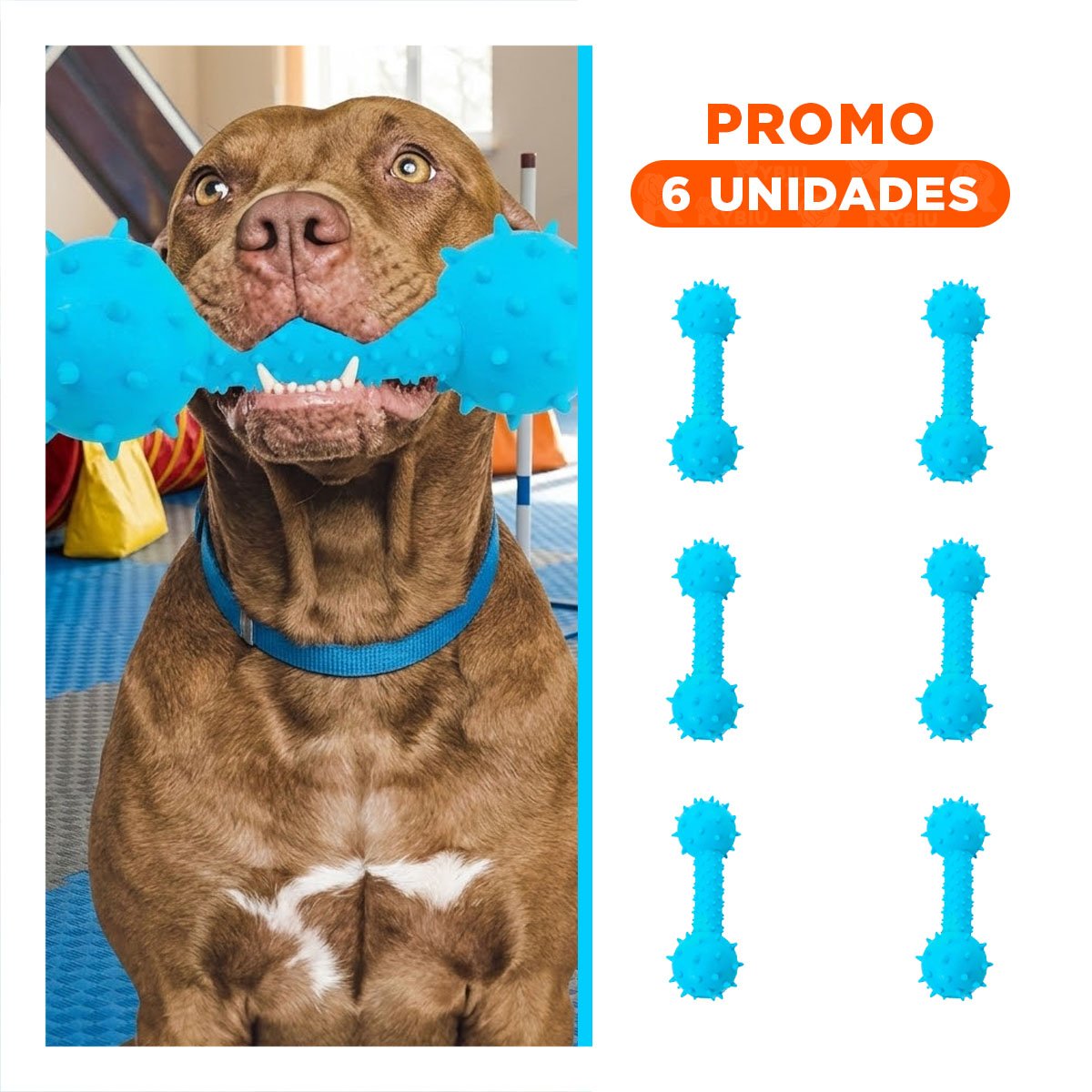 PACK6 JUGUETE CANINO HUESO CELESTE CON EXTREMOS REDONDEADOS Y TEXTURA - 1