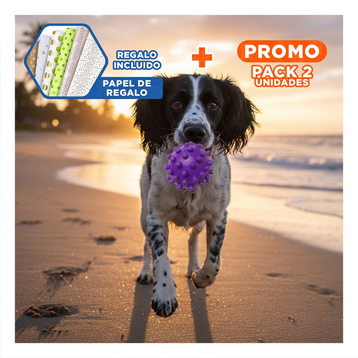 PACK2 JUGUETE MORADO DE CAUCHO CON DISENO CHIRIMOLLA COMPACTO Y+PAPEL REGALO - 1