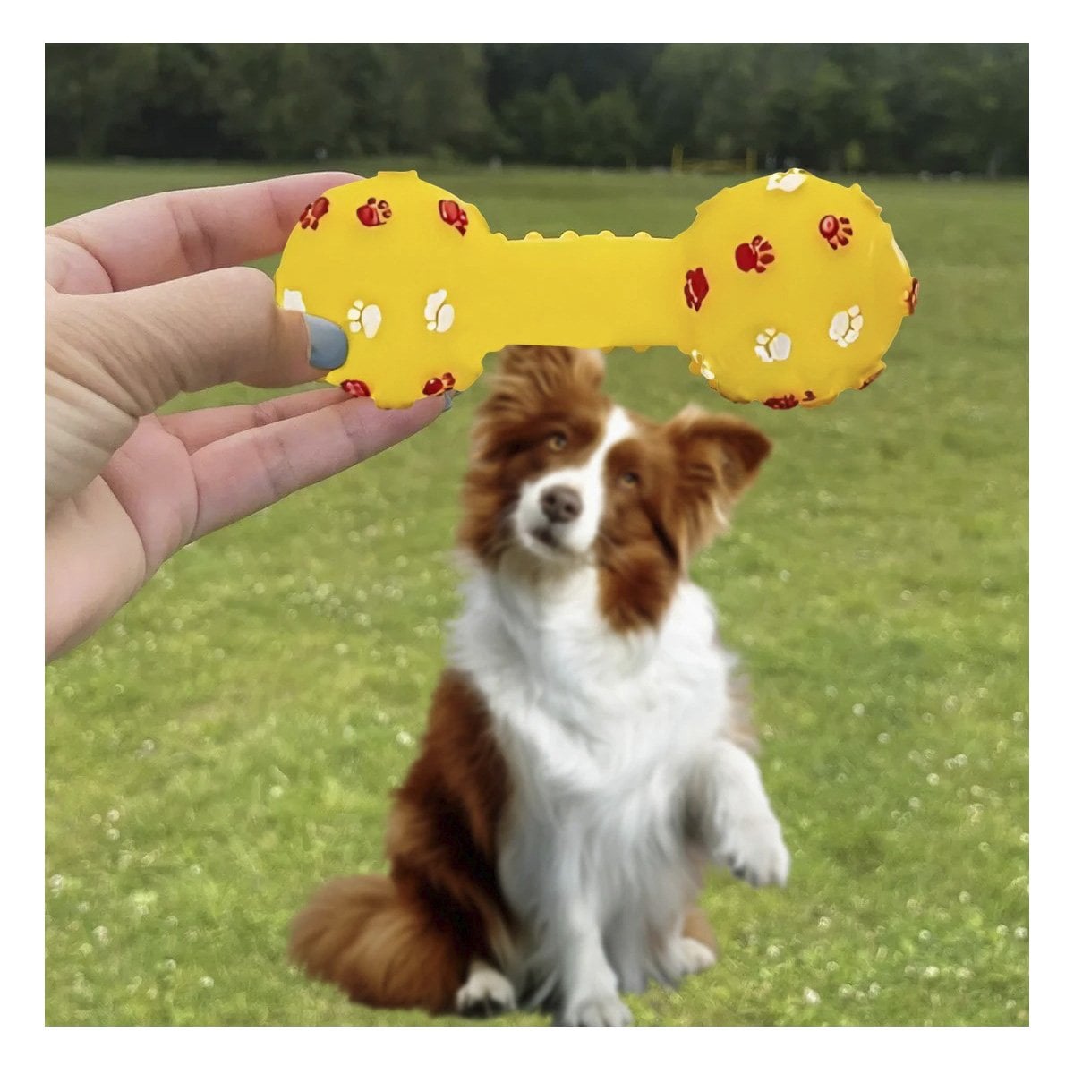 PACK4 ACCESORIO PARA MASCOTA TIPO HUESO AMARILLO CON ESTILO LLAMATIVO Y+REGALO STICKER - 3