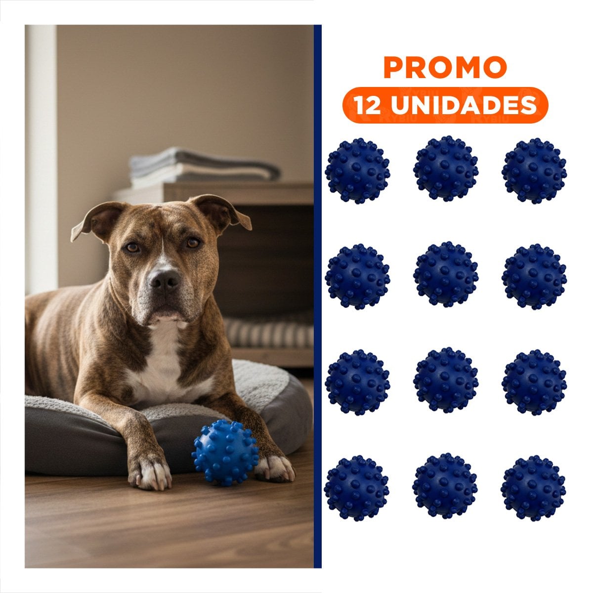 PACK12 JUGUETE CANINO AZUL CHICO TIPO CHIRIMOLLA PARA ACTIVIDAD Y+REGALO STICKER - 1