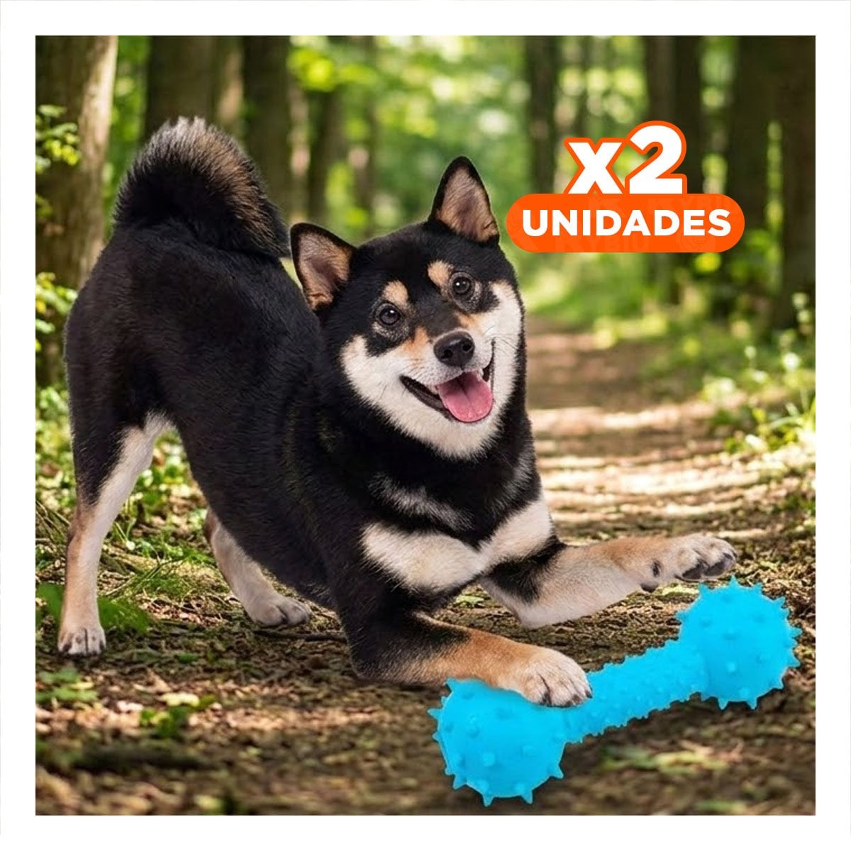 PACK2 JUGUETE CANINO TIPO HUESO CELESTE CON FORMA CLASICA Y FUNCIONAL Y+REGALO STICKER - 1