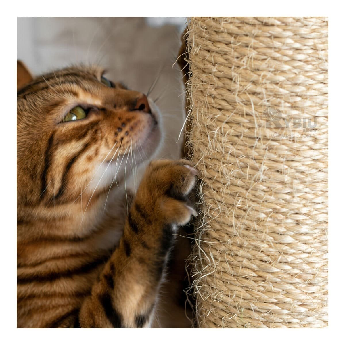 PACK2 TORRE PARA GATO DE 3 PISOS COLOR PLOMO CON AREAS PARA SALTAR Y DESCANSAR - 5
