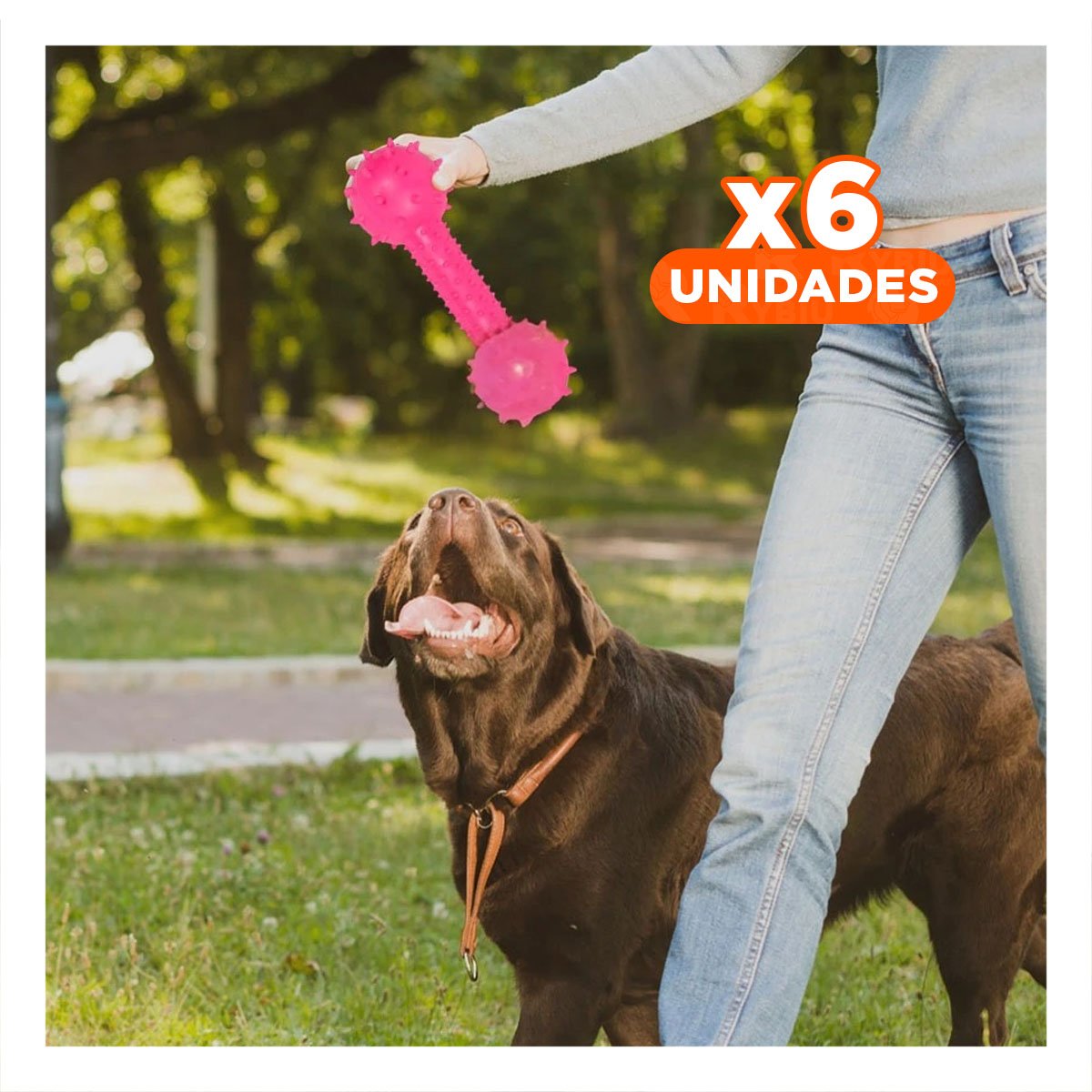 PACK6 JUGUETE HUESO ROSADO CON EXTREMOS CON RELIEVE ANTIESTRES Y+REGALO STICKER - 1