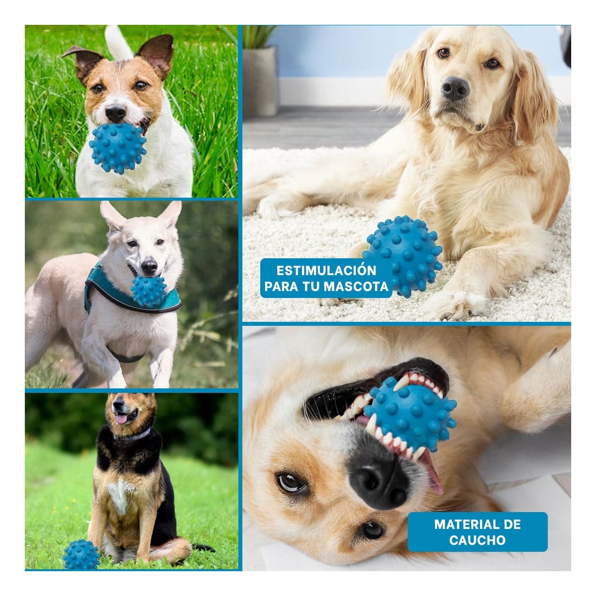 PACK12 JUGUETE CELESTE DE CAUCHO PARA MASCOTAS FORMA CHIRIMOLLA Y+PAPEL REGALO - 2