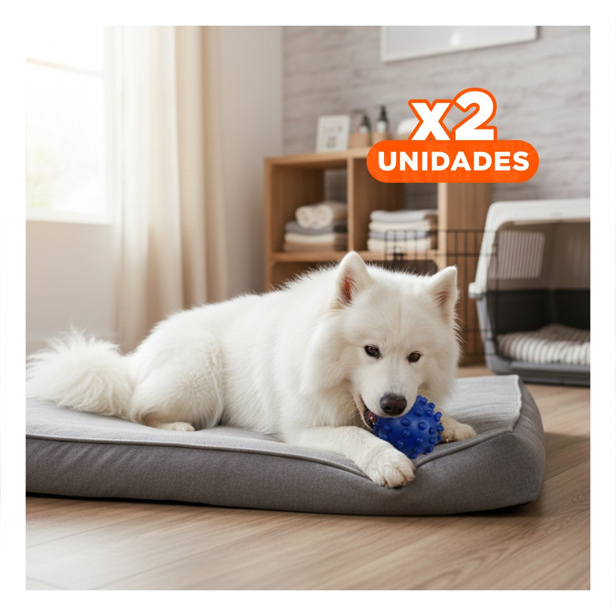 PACK2 JUGUETE CANINO AZUL FORMA CHIRIMOLLA PARA DIVERSION CONTINUA Y+REGALO STICKER - 1