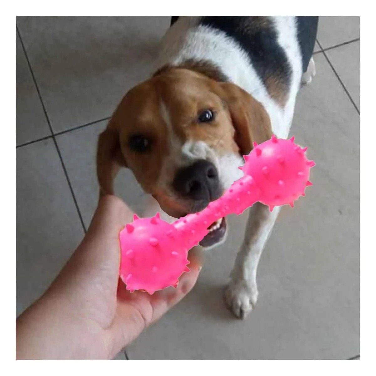 PACK12 HUESO ROSADO CON BOLAS PARA MAYOR INTERACCION DE LA MASCOTA Y+REGALO STICKER - 3