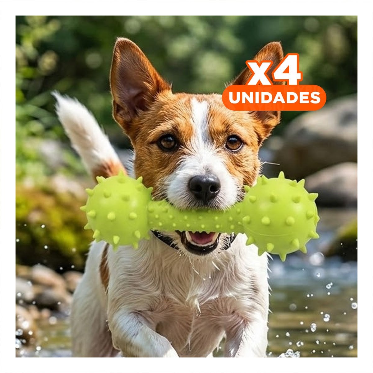 PACK4 HUESO RESISTENTE VERDE AMARILLENTO PARA MASCOTAS ACTIVAS - 1
