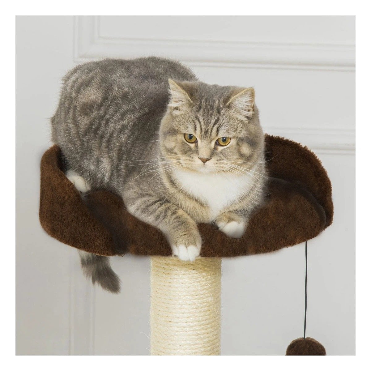 PACK2 MANSION DE GATO CASA MARRON TRES NIVELES RASCADOR PARA HOGAR COMODO Y CAFE - 5