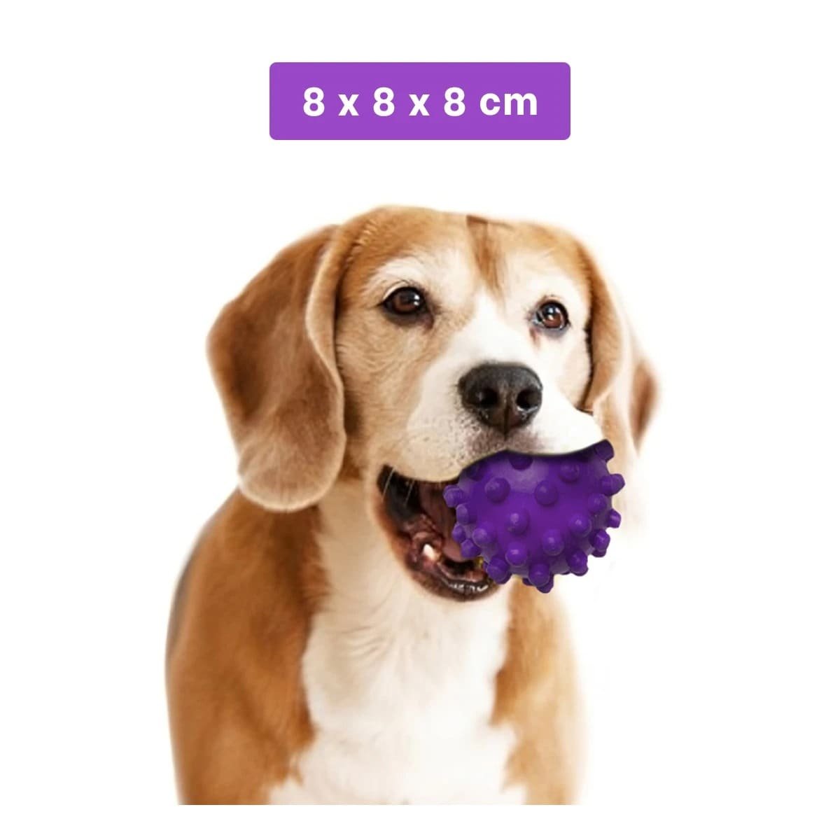 PACK6 JUGUETE DE CAUCHO MORADO FORMA CHIRIMOLLA PRACTICO PARA JUEGO Y+PAPEL REGALO - 4