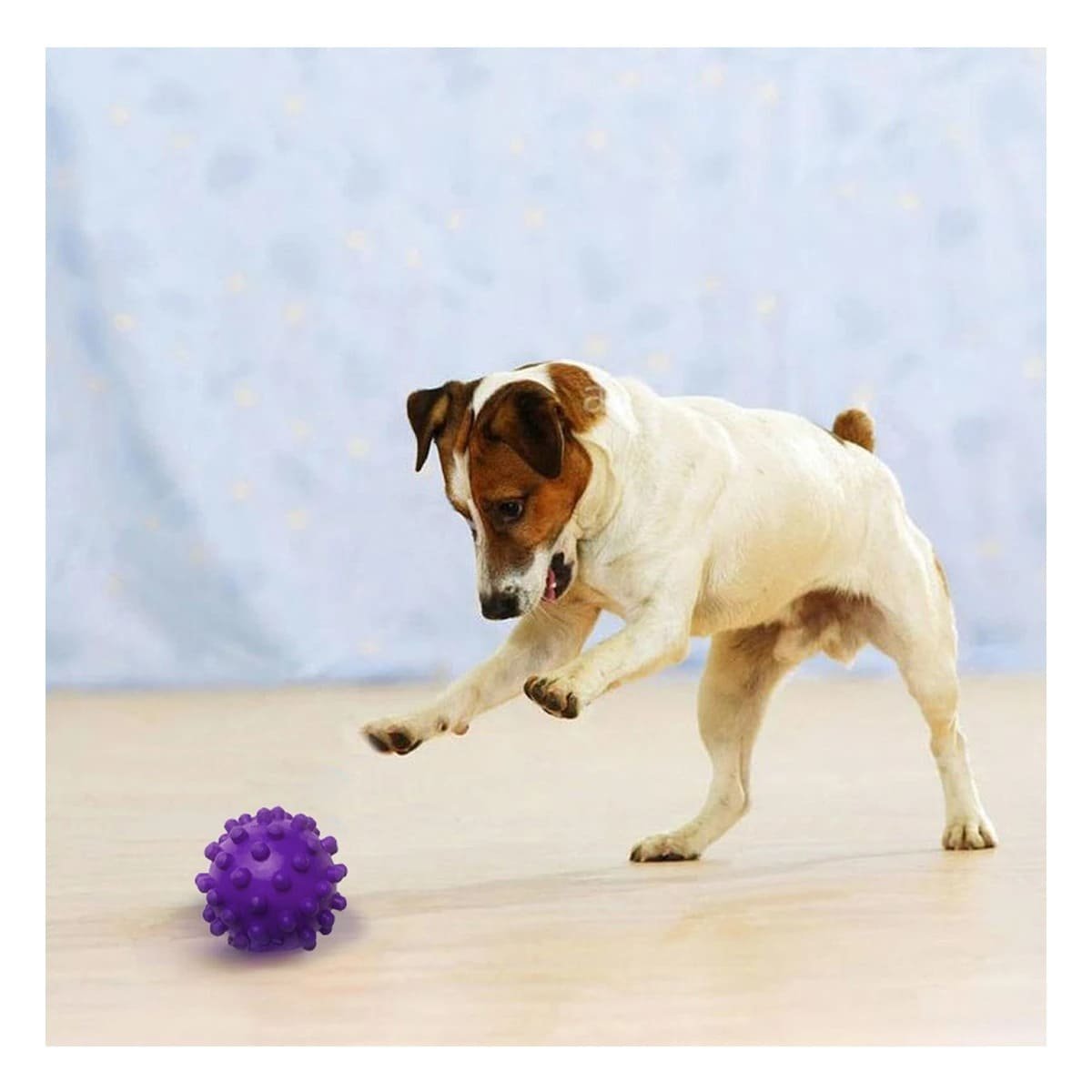 PACK6 JUGUETE DE CAUCHO MORADO FORMA CHIRIMOLLA PRACTICO PARA JUEGO Y+PAPEL REGALO - 5