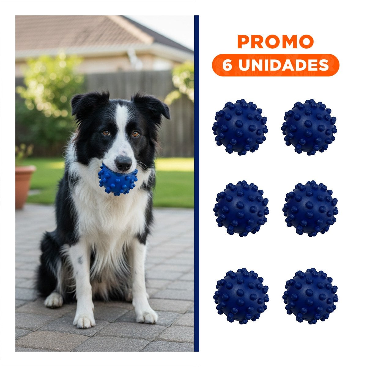 PACK6 ACCESORIO AZUL TIPO CHIRIMOLLA PARA MASCOTAS DISENO FUNCIONAL - 1